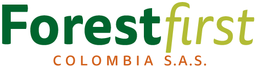Forest First Colombia