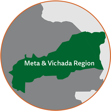 Colombia-Vichada-map